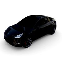tesla model y black