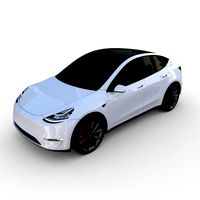 tesla model y white