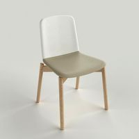 Two Tone Chair
