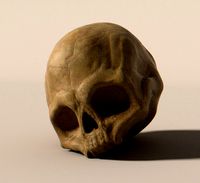 Humanoid Skull