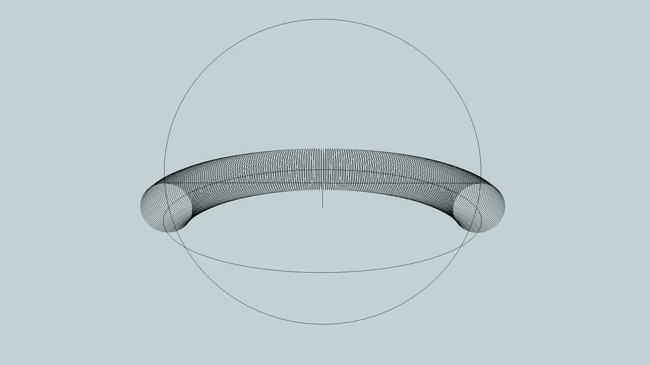 Toroidal Ring Singularity