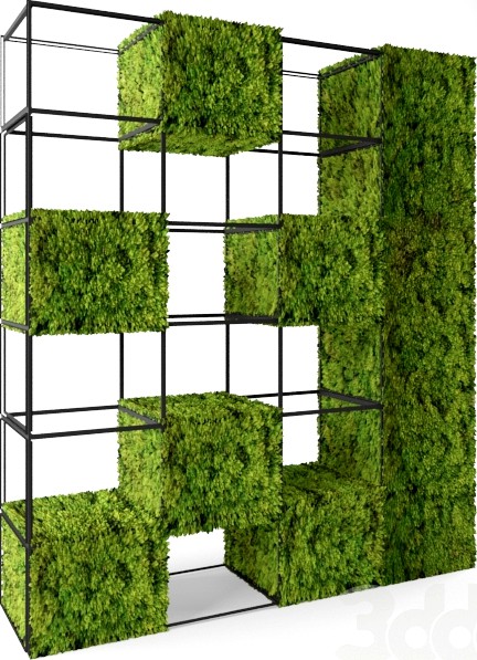 moss shelves