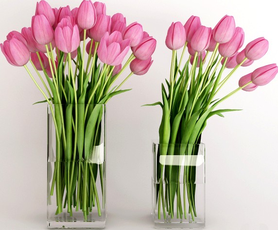 Two vases with pink tulips