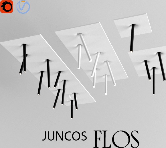 FLOS JUNCOS 3D