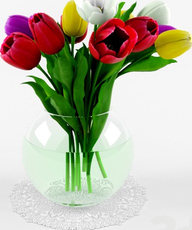 Tulips (Тюльпаны)
