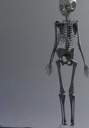 Anime Skeleton