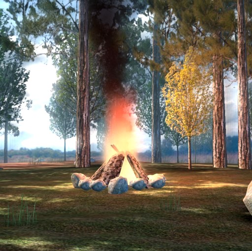 Campfire in Woods BGE
