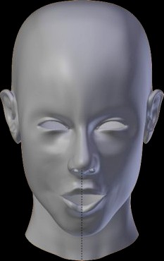 Facial Animation With Mocap Data