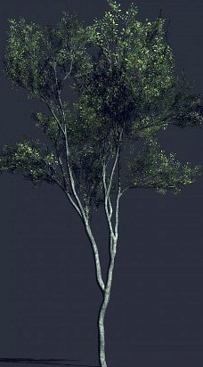 Low Poly Tree Next Gen