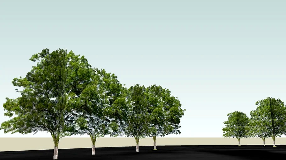 The eagle of Vaspurakan 2 Արծիվ Վասպուրականի