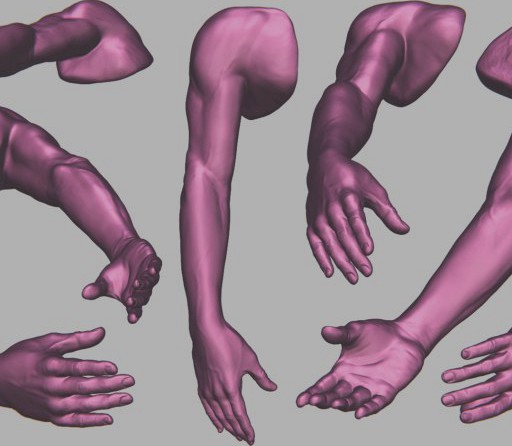 Arm sculpt study