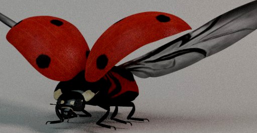 Ladybug