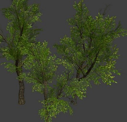 3 Low Poly Trees