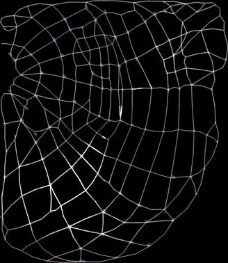 SpiderWeb 90degrees