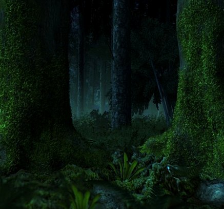 Forest