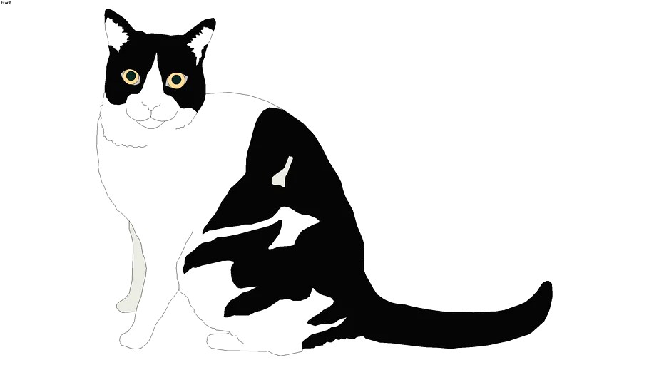 2D cat