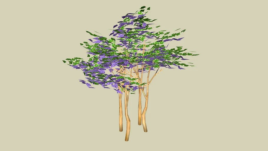 Crape Myrtle