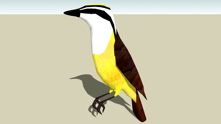 Great Kiskadee