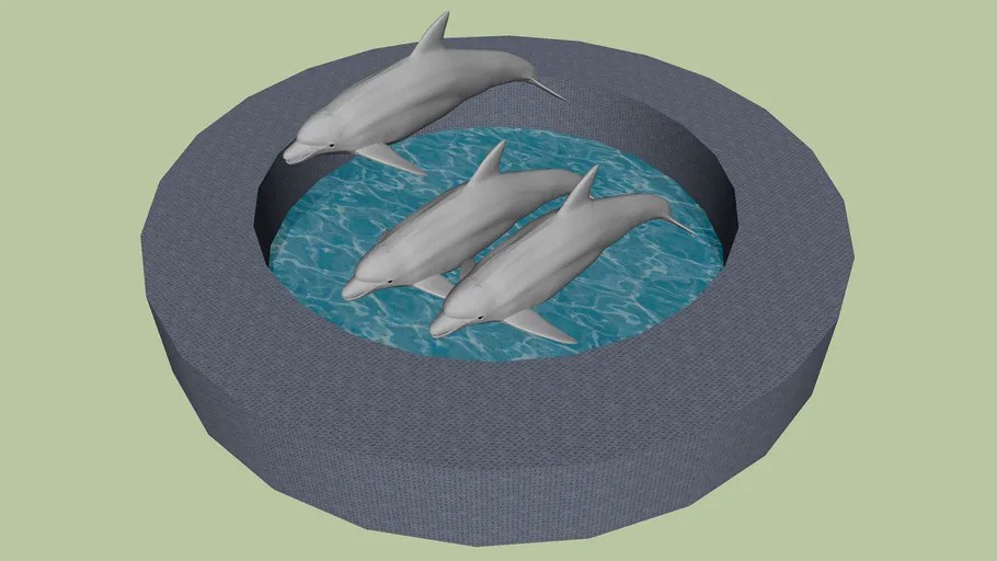 Dolphin Tank