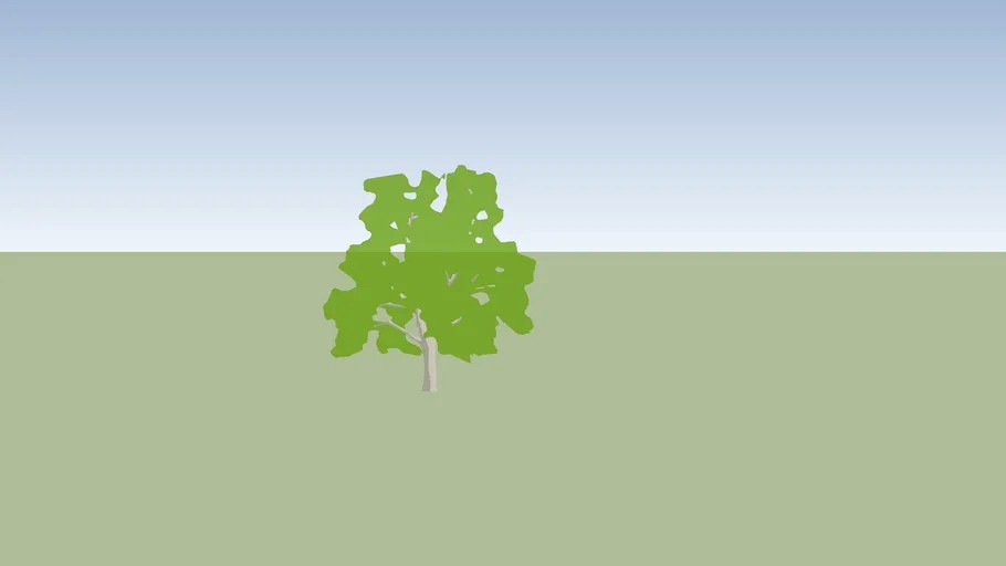 Apfel Baum