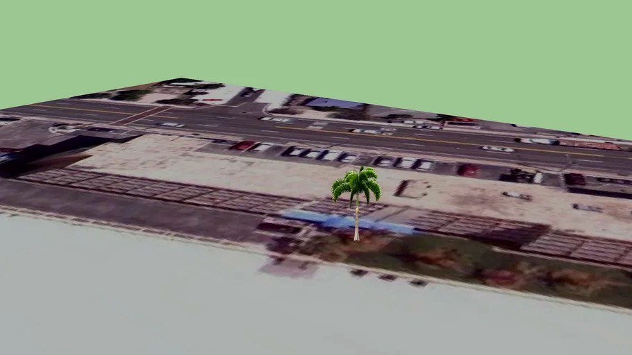 Palmtree