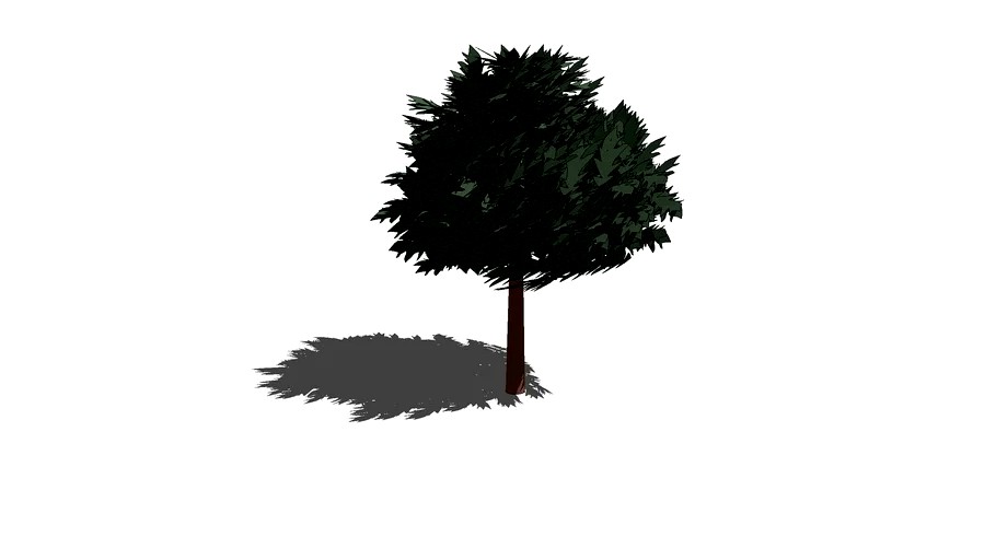 the tree