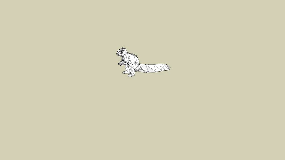 squirrel