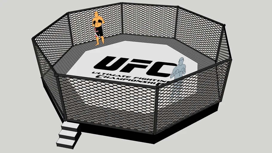 ufc octagon