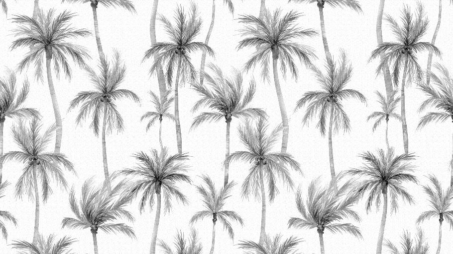 Papel de Parede Coqueiro Ref CBALI02 STICKDECOR