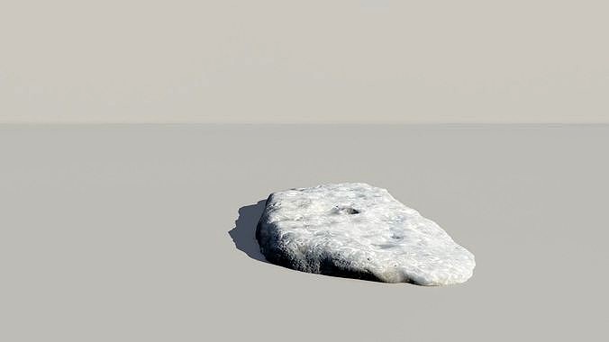 Shell Fossil 3d Scan