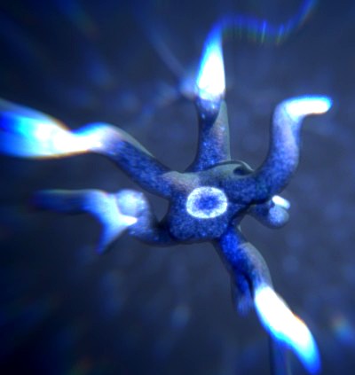 The Mind - Production Files