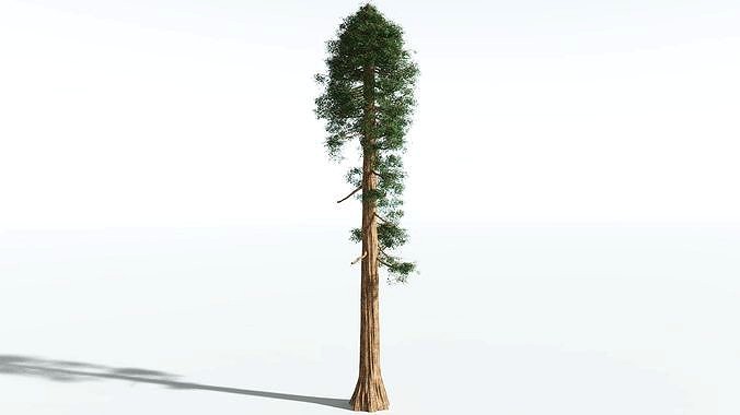 EVERYPlant Giant Redwood SINGLE --1 Model--