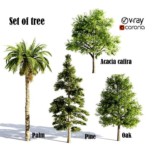 4 diffrent tree