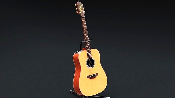 Takamine Guitar with support