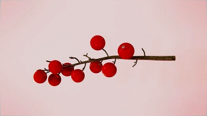 Cranberry