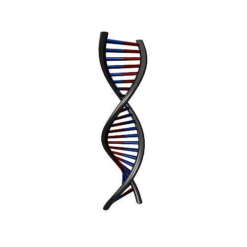 DNA Molecule v1 008