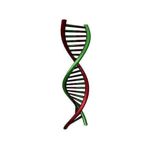DNA Molecule v1 007