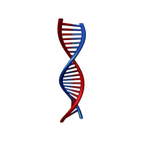 DNA Molecule v1 005