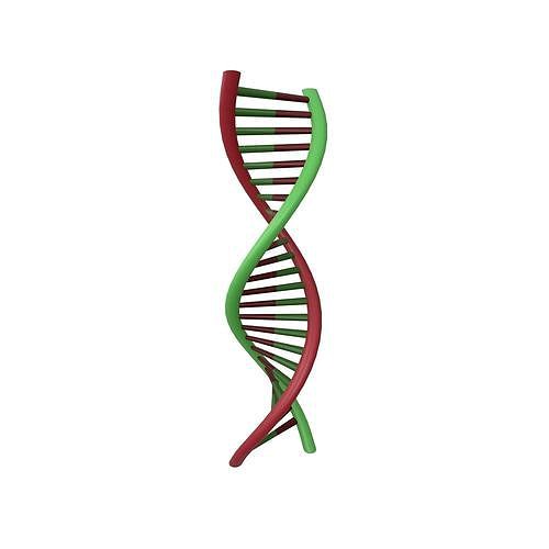 DNA Molecule v1 003