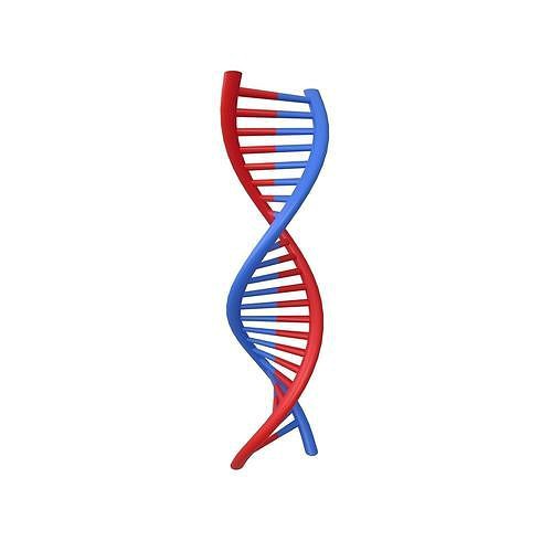 DNA Molecule v1 001