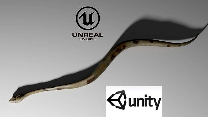 Boa Constrictor Snake Python