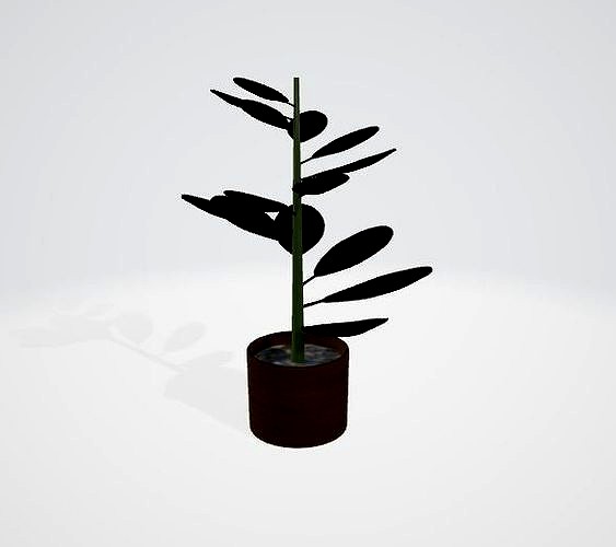 Plant Model