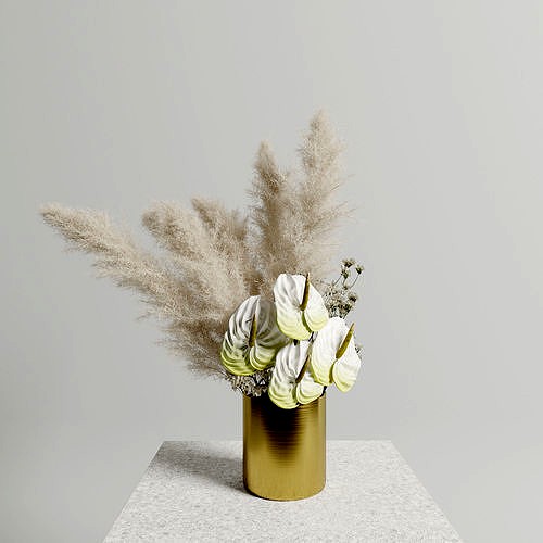 Anthuriums Pampas set
