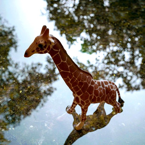 Giraffe Toy