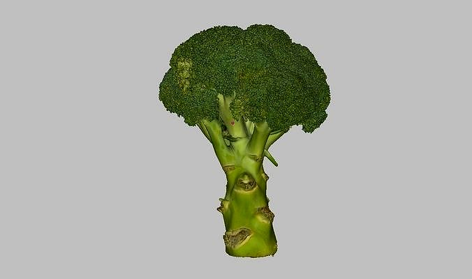 Broccoli