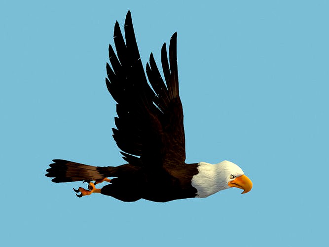 Eagle