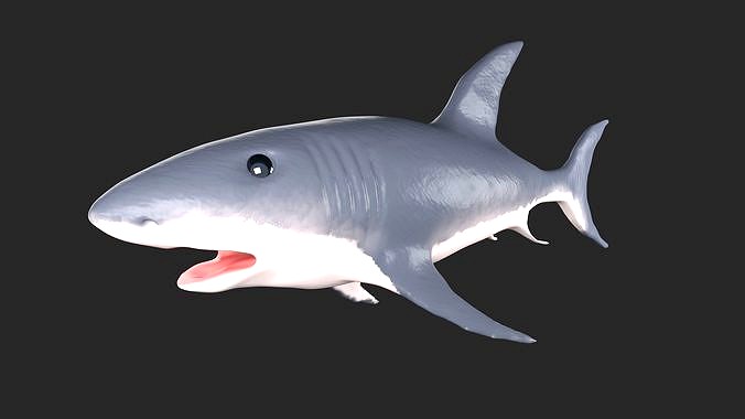 Shark