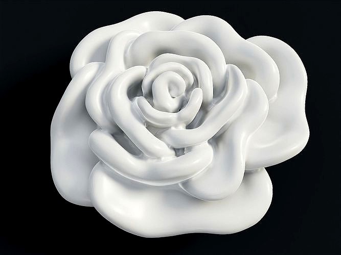 Rose Bloom | 3D