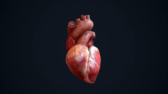 Animated Heart