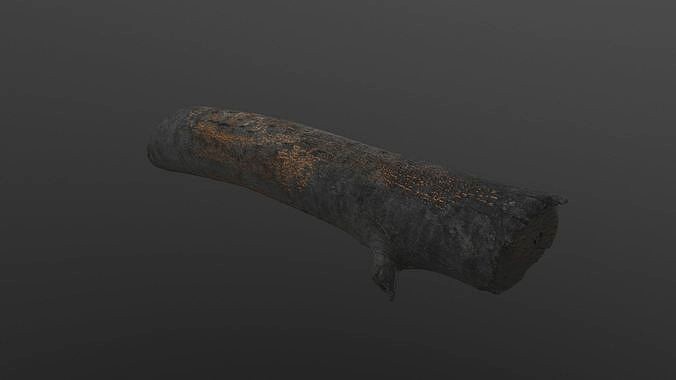 Scanned Old Log HIGH POLY LOW POLY RAW